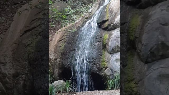 Внизу шумит морской прибой, а надо мной гора Ай Петри в сиянии дымки голубой. Алупка. 2023 июнь. смотреть онлайн