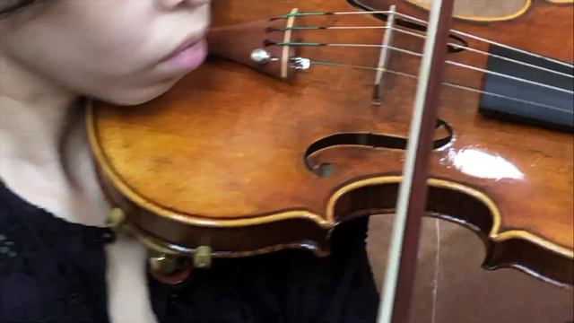 Ifstrings Master Build Deluxe Wood #347 Guarneri Del Gesu 1743 