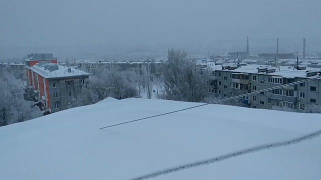 Камышин 4мкр 28 января 2019 смотреть онлайн