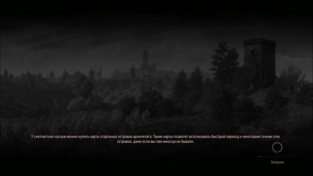 The Witcher 3 Wild Hunt. Школа кота. #23 смотреть онлайн