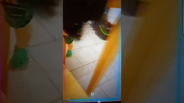 Monster High Lady Gaga Cleo and deuce Monster High смотреть онлайн