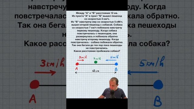 Хитрая задача про странную собаку. #математика #алгебра #движение #уравнение #скорость #расстояние смотреть онлайн