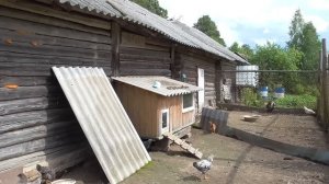 Теща приехала на помощь, будет порядок наводить. Белорусская деревня без прикрас