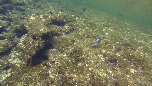 Charmillion Gardens Aquapark