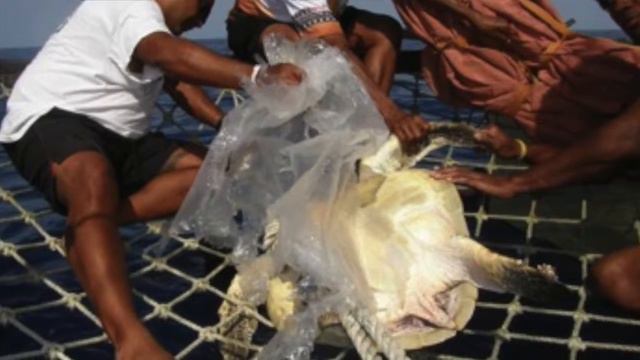 “Plastic Pollution” – Mitchell M. and Tyler Q. Winning Video - May 2016 смотреть онлайн