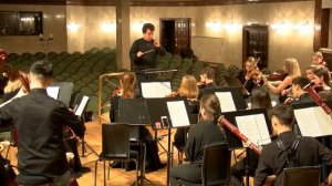 Л.В.Бетховен - Симфония №1. Часть I