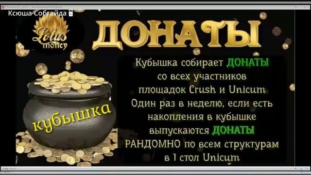 Разбор маркетинга "Денежный Лотос" смотреть онлайн