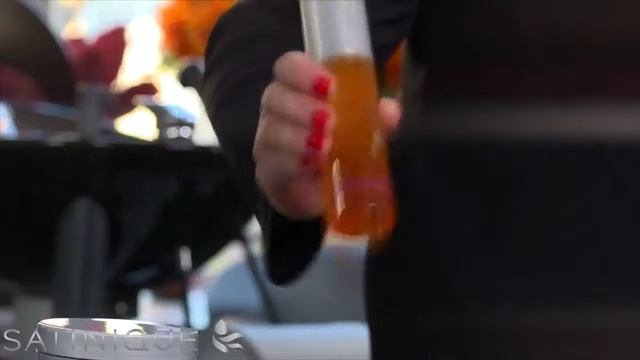 Придание объема волосам и термозащита защита с коллекцией SATINIQUE™ смотреть онлайн