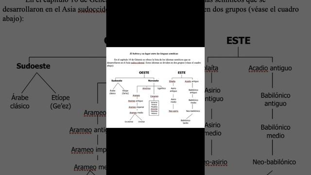 EL PUEBLO JUDÍO 5 #hebreos #israel #biblia #torah #historia #judíos #vlogs #shortsvideo #youtuber смотреть онлайн
