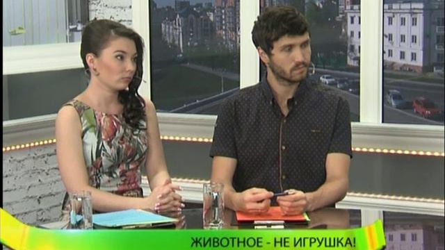 Никому не нужны! О проблеме бездомных животных поговорим с гостем программы. смотреть онлайн