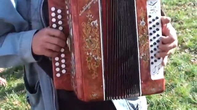 Гармонь 3, играет Головин А.В.(accordion)