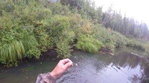 Ловля хариуса на блесну август 2017