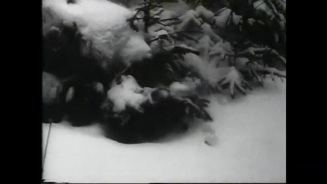 Марат Казей смотреть онлайн