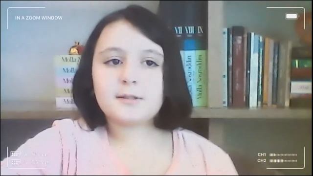 Как снять видео с помощю Zoom. Монтаж видео на Zoom смотреть онлайн