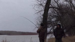 Ловля РЫБЦА на креветку на Дону, ловля рыбца на червя!!