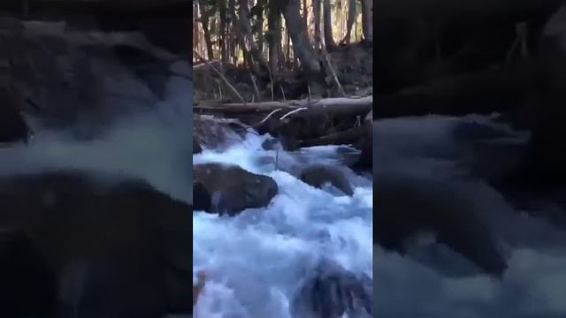 Горнолыжный курорт Домбай ...#Кавказ смотреть онлайн