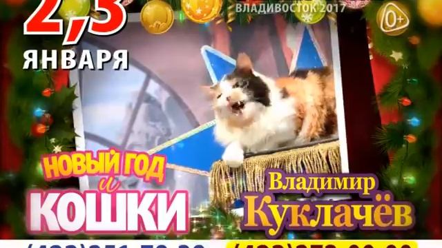 Новый год и КОШКИ смотреть онлайн