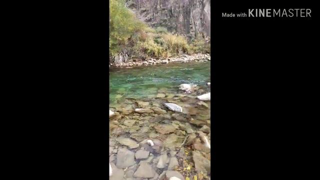 Река Чарын Казахстан Шарын өзен смотреть онлайн