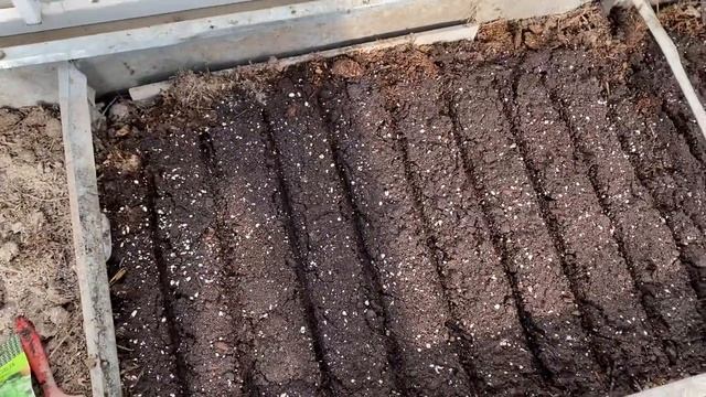ВСЕ НА ДАЧИ И УЧАСТКИ / Пора проверять свои розы / Сажаем в парнике 28 марта 2021 г. смотреть онлайн