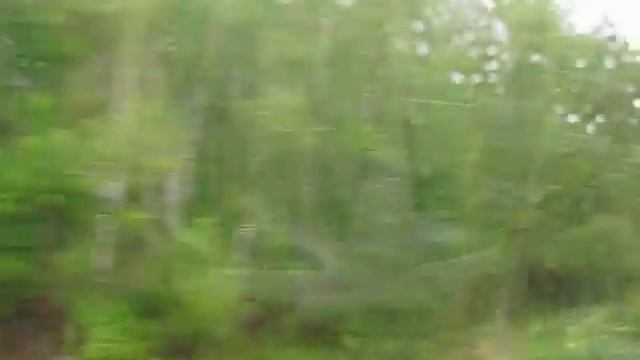 Дизель-поезд РА-2 Черепеть-Урванка идёт вдоль берега Черепетского озера на станцию Ханино .