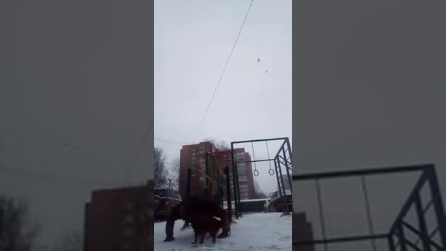 Саша и Фёдор Александрович снова отжимаются / 04.02.2020 / #НЕ_ПРОХОЖУ_ смотреть онлайн
