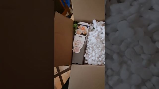 КАК УПАКОВЫВАЮТ РОЗЫ В ПОДВОРЬЕ. смотреть онлайн