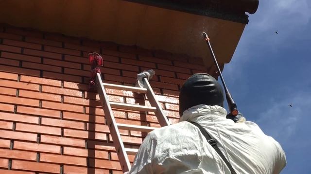 Как избавиться от шершней в труднодоступном месте под крышей? смотреть онлайн