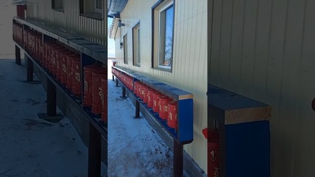 Хурдэ у дугана Соодой Ламы смотреть онлайн