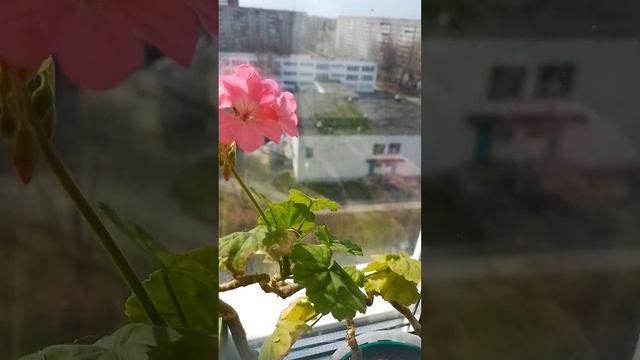 12 апреля 2023 г. смотреть онлайн