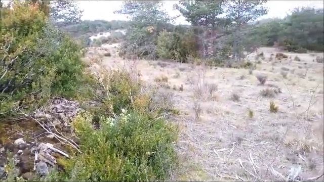 Коп в январе смотреть онлайн