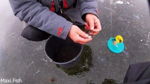 В ЭТОМ ОЗЕРЕ МНОГО ЩУКИ. Атака щуки на живца Рыбалка в МОЛДОВЕ. Зимняя рыбалка на жерлицы.
