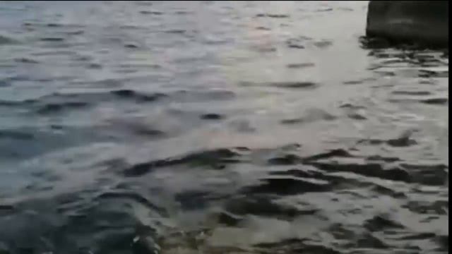 Bahtning Erta Kechi Yoq | Бахтнинг эрта кечи йўқ