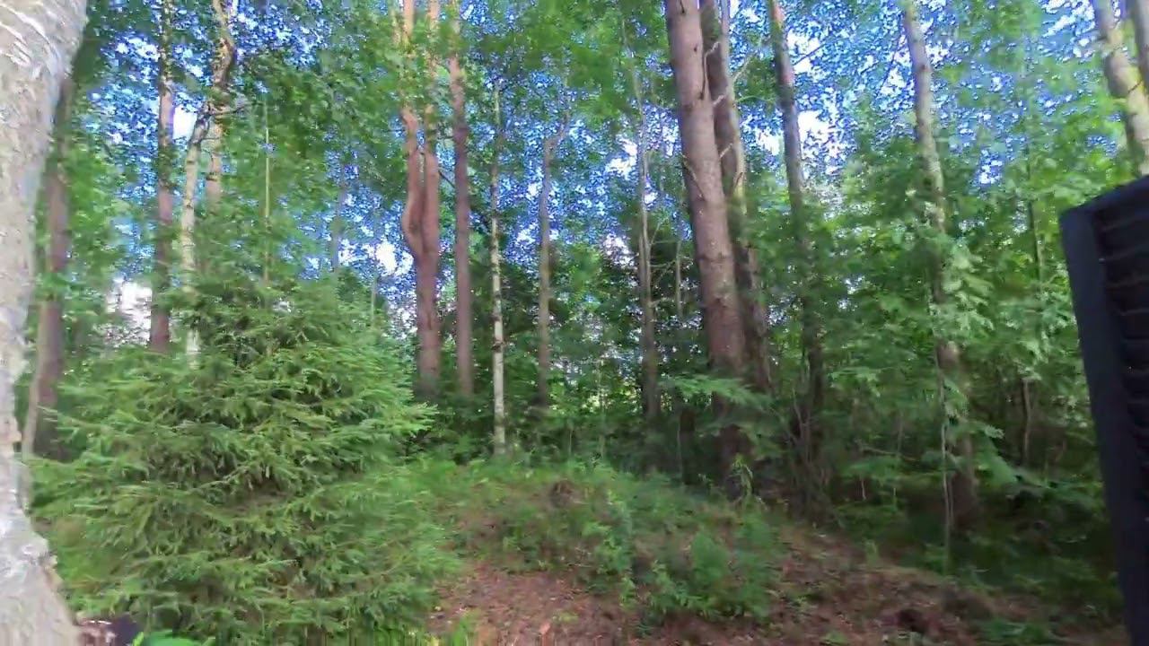Тренировка в лесу :-) смотреть онлайн