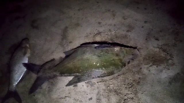 Тайные путешествия пещер