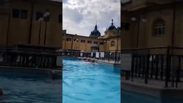 bathing culture: exploring the Szechenyi baths смотреть онлайн