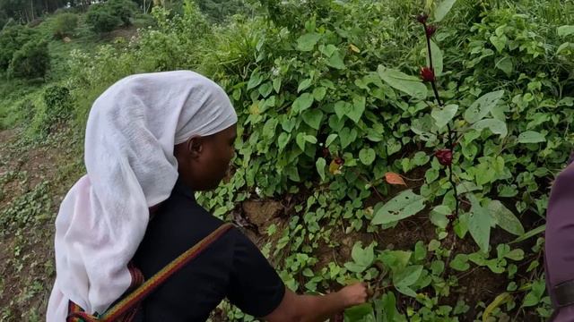 Detox In The Jamaican Bush Is NOT What I thought So... 🇯🇲 смотреть онлайн