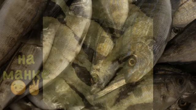 Морская рыбалка в чёрном море/ Камышовый МОЛ/Ноябрь 2018 год смотреть онлайн