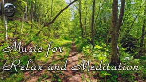 Расслабляющая музыка, щебетание птиц и расслабляющая прогулка по лесной тропе