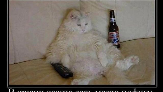 Разговоры с Трастом,Связным,ОТП. смотреть онлайн