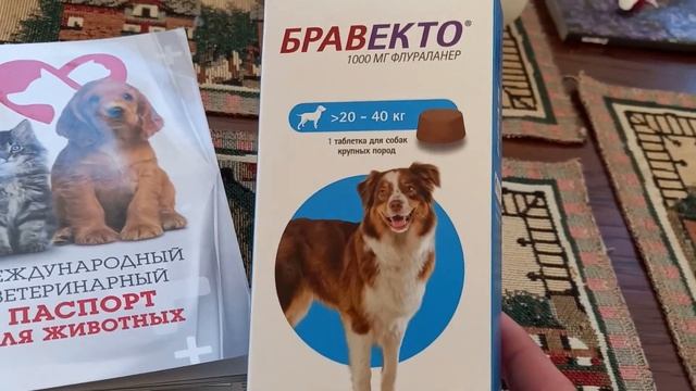 Доставка продуктов. Новая мультиварка. Сделали прививки. смотреть онлайн