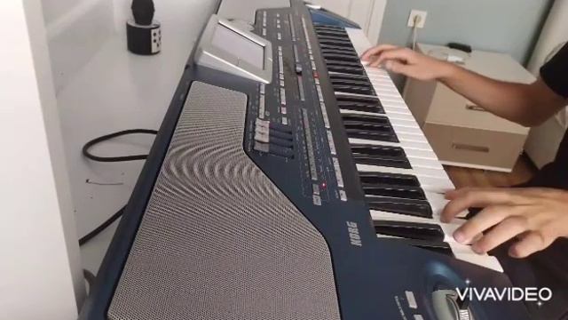Dostum Dostum Korg Pa 800