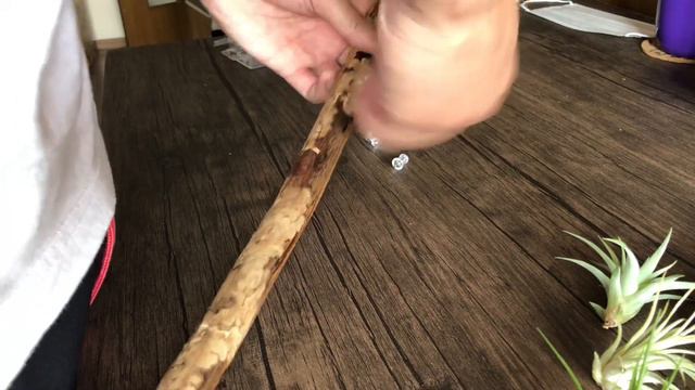 DIY AIR PLANT HOLDER смотреть онлайн