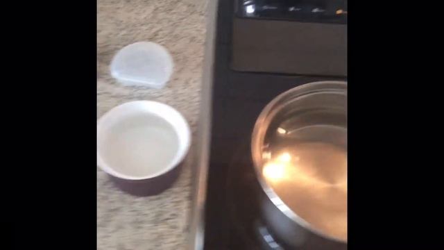 Boxing/Muay Thai  How To Fit A MOUTHGUARD