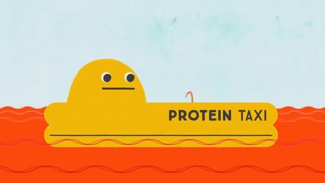 КАК РАБОТАЮТ ВИТАМИНЫ??? / TED ED НА РУССКОМ ЯЗЫКЕ смотреть онлайн