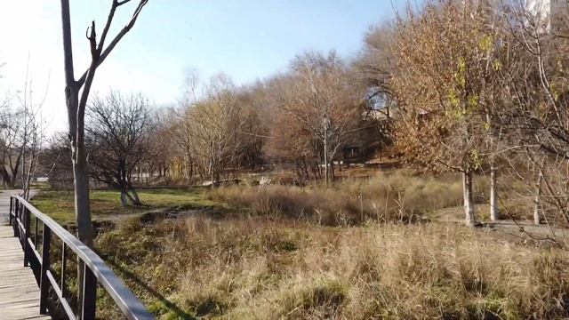 Снос строений Карима Бабаева в парке Дружба смотреть онлайн