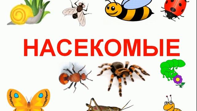 Насекомые и жуки для детей смотреть онлайн