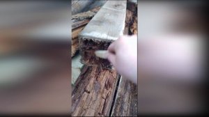 Обработка дерева отработкой ч.1