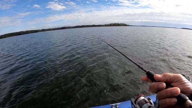 Catfish & White Perch Using Gulp Alive. смотреть онлайн