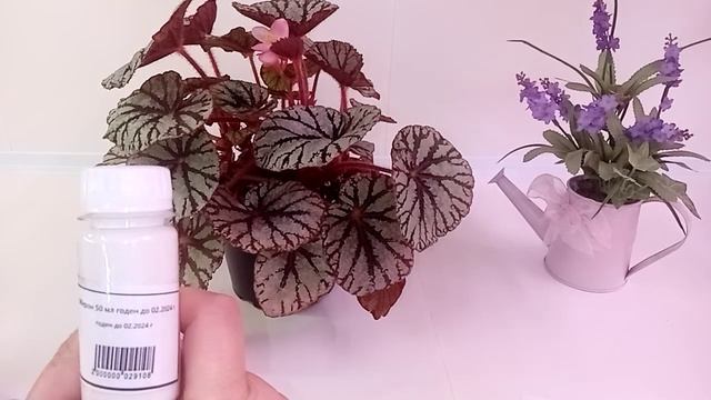 Препараты для обработки растений. смотреть онлайн