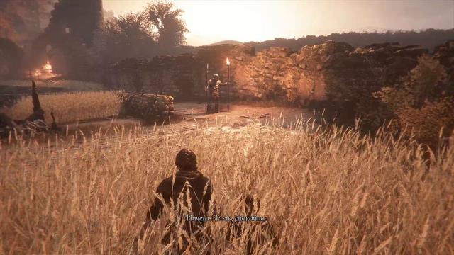 Продолжение A Plague Tale Innocence part 2 смотреть онлайн